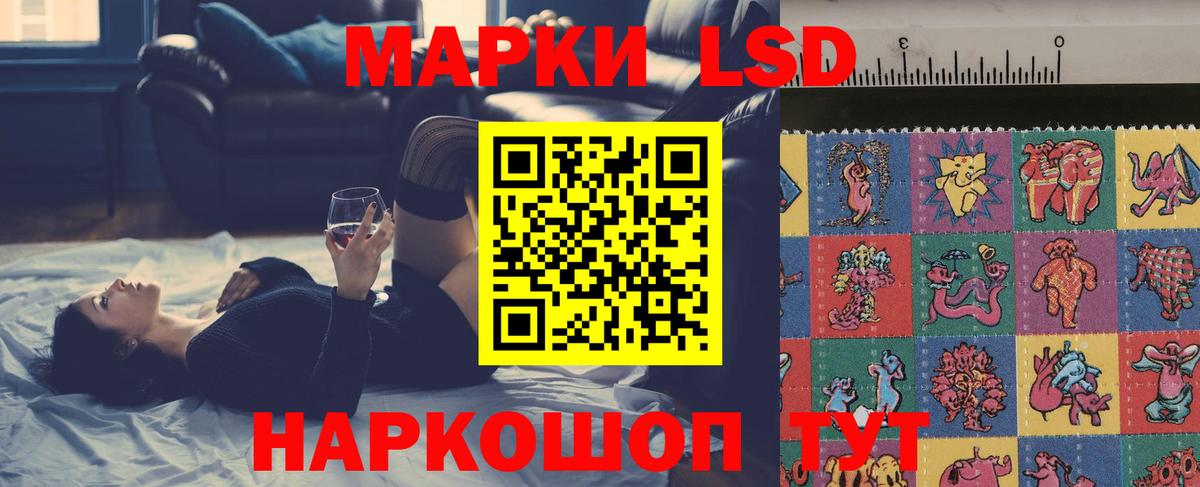 Меф Советская Гавань