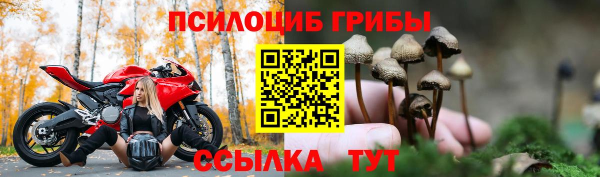 Псилоцибиновые грибы ЛСД Советская Гавань